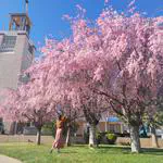 April 2025 in review