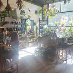 August 2025 in review