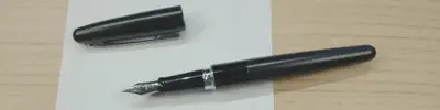 Pilot fountain pen. Fine tip. Perle Noire ink.